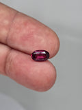 Grenat rhodolite – 1,46 ct